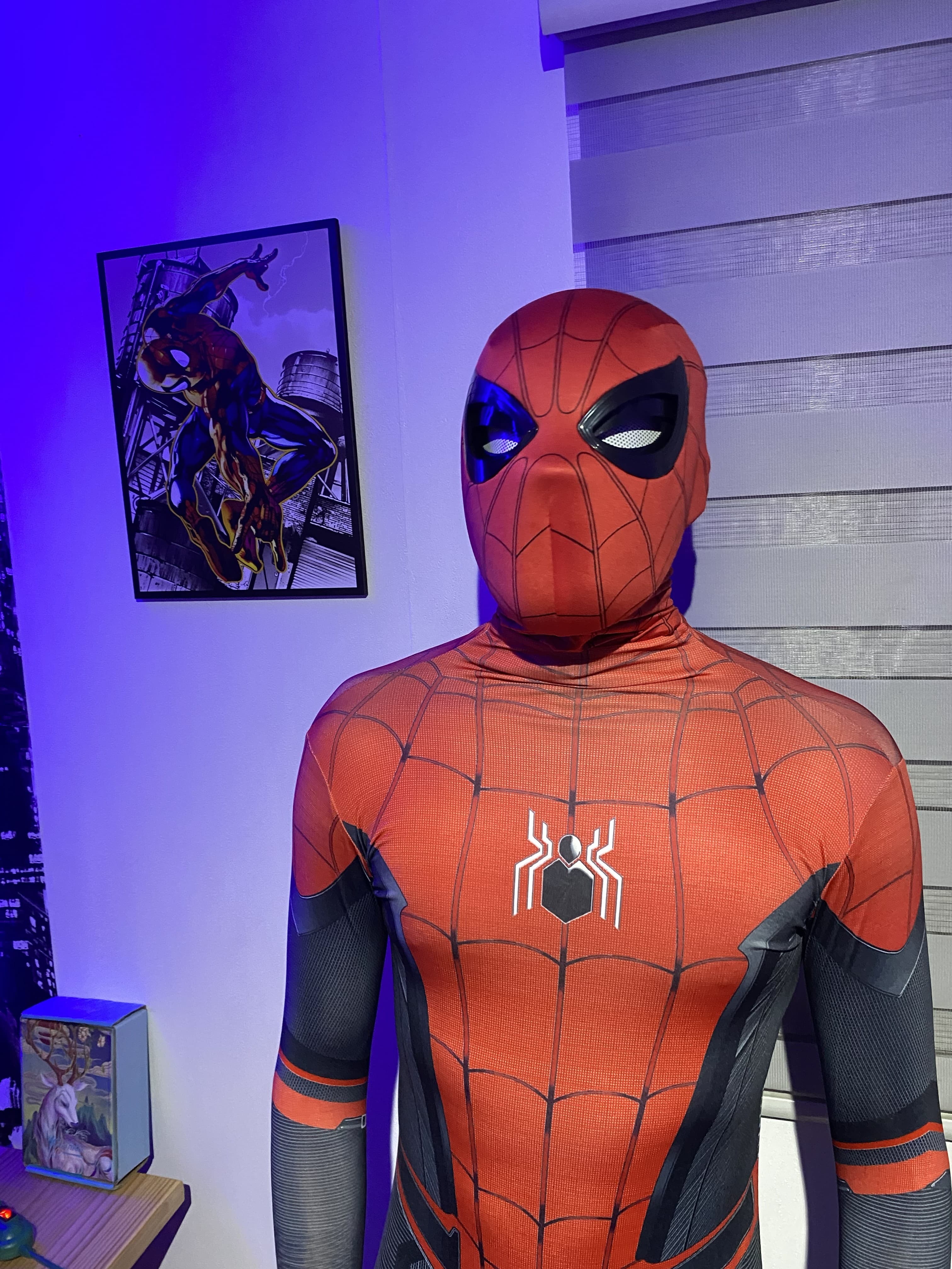 Máscara Tom Holland Std 5